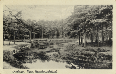 602117 Gezicht op een vijver in het bos bij Driebergen-Rijsenburg.